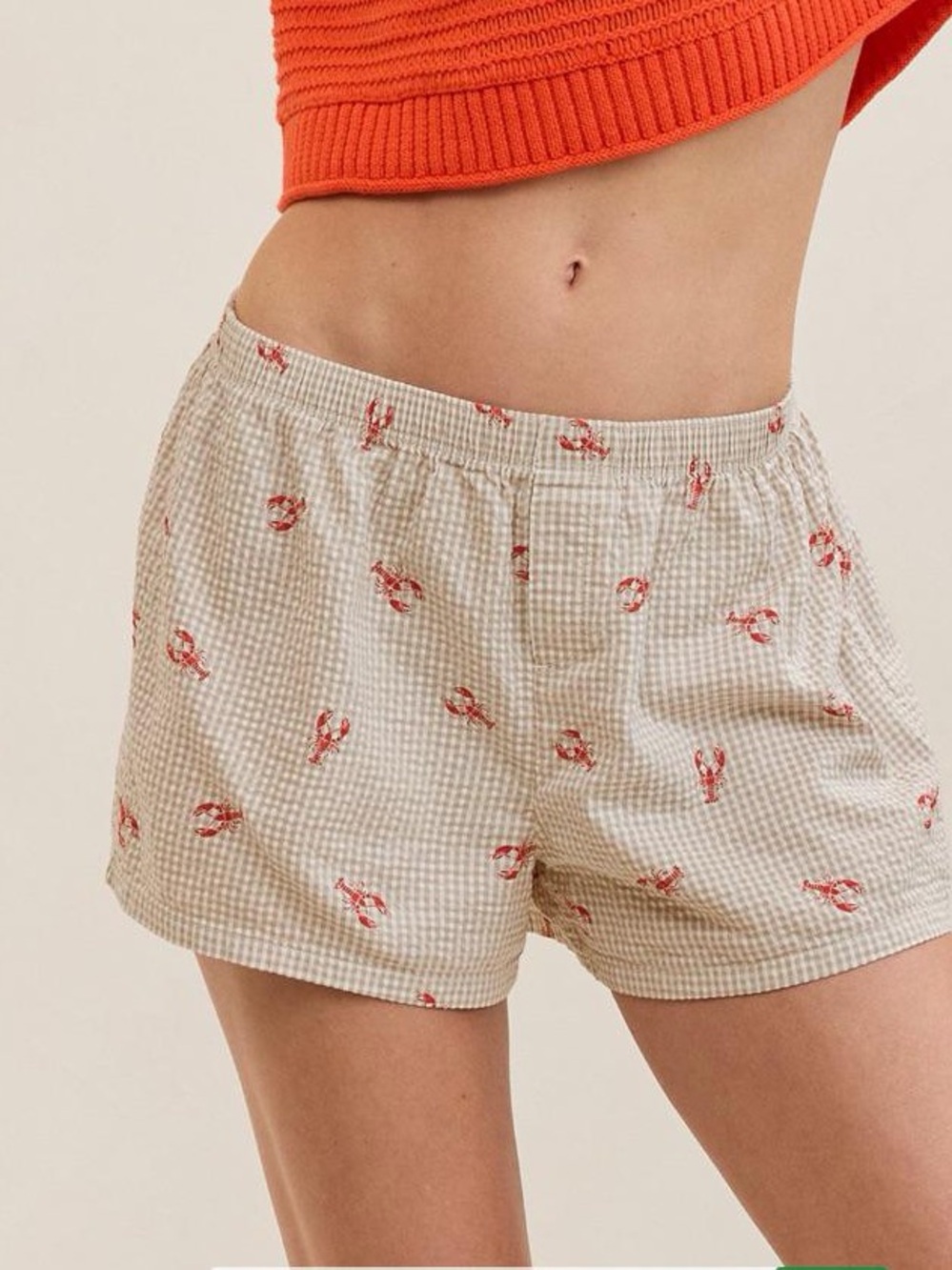 Aerie seersucker boxer
